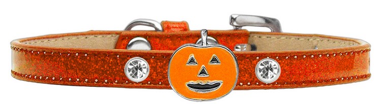 Pumpkin Charm Dog Collar Orange Ice Cream Size 10